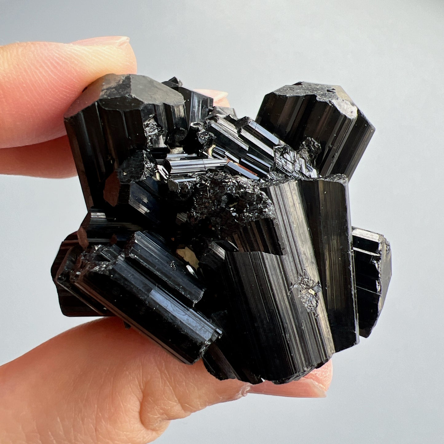 這次購入一批莫桑比克亮面精品黑碧璽原石, 有部份更是罕見的花形,每一顆都是非常精緻,紋路清晰,非常值得收藏。 黑碧璽 -可排除身上及空間的濁氣、病氣 -避邪化凶,避開不乾淨的邪物 -吸收負面能量,消除負能量