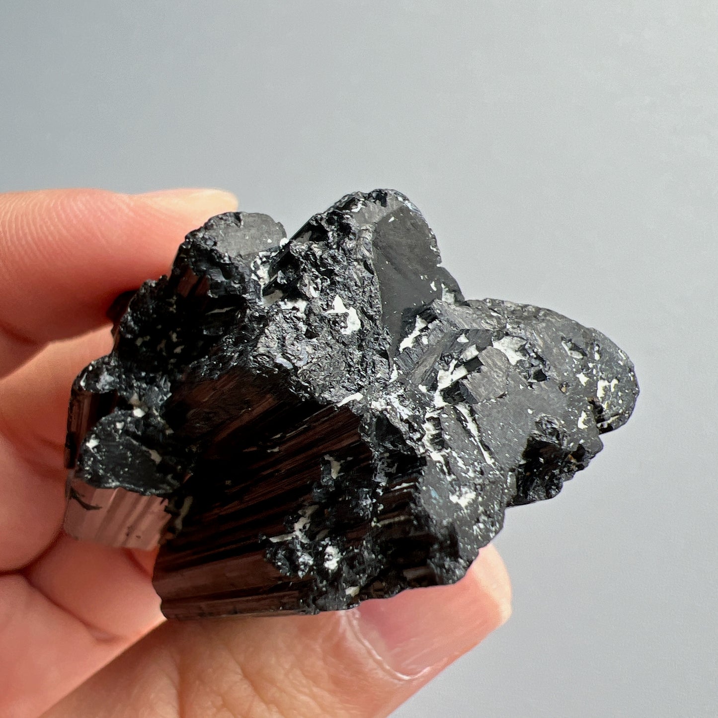 這次購入一批莫桑比克亮面精品黑碧璽原石, 有部份更是罕見的花形,每一顆都是非常精緻,紋路清晰,非常值得收藏。 黑碧璽 -可排除身上及空間的濁氣、病氣 -避邪化凶,避開不乾淨的邪物 -吸收負面能量,消除負能量