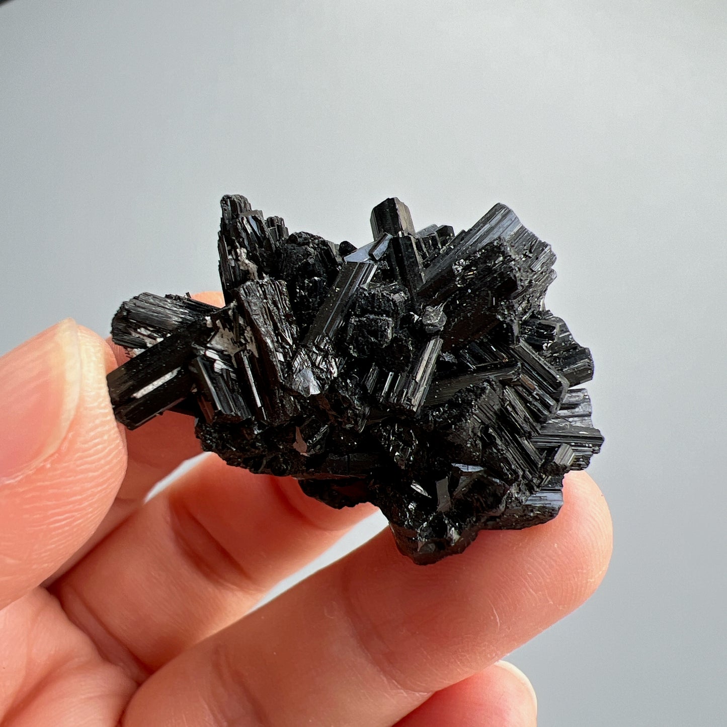 這次購入一批莫桑比克亮面精品黑碧璽原石, 有部份更是罕見的花形,每一顆都是非常精緻,紋路清晰,非常值得收藏。 黑碧璽 -可排除身上及空間的濁氣、病氣 -避邪化凶,避開不乾淨的邪物 -吸收負面能量,消除負能量