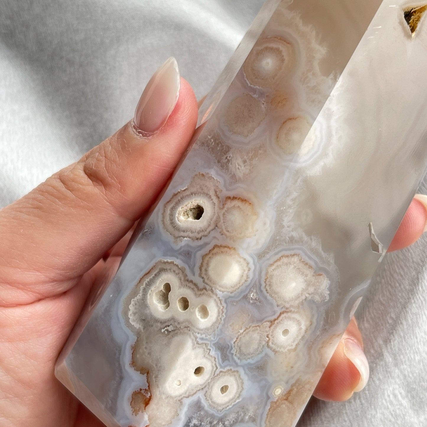 這一枝瑪瑙顏色好透徹圓潤,櫻花圖案超級可愛、好看,簡約的風格,值得收藏。 瑪瑙-Agate品種繁多,整個瑪瑙家族十分龐大。其中一種瑪瑙充滿溫柔優雅之美,深受女仕們喜愛,就是櫻花瑪瑙 - Blossoms Agate🌸 櫻花瑪瑙被視為寶石中的「第三眼」,靈性十足,象徵友善與愛心,也代表希望。 櫻花瑪瑙晶體內含粉白色、猶如朵朵盛開之櫻花的共生礦,每枝形態獨一無二,為人帶來溫柔細膩的內涵,會令人要停下來慢慢欣賞佢嘅美。 -能令人精神放鬆,減少失眠症狀 -瑪瑙具有平衡,穩定及保護的作用 -也是護身符及辟邪物,有保平安功效 -瑪瑙維持身心和諧,增強愛、忠誠及勇氣