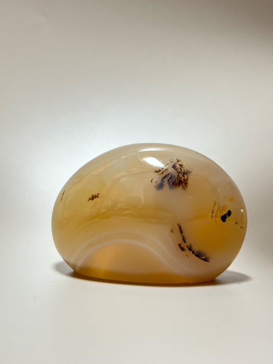 瑪瑙共生軟錳礦

這顆瑪瑙裡裡面共生了軟錳礦(又名樹枝,苔紋), 是因為二氧化錳滲入的關係造成樹枝狀的樣子, 會出現在水晶和瑪瑙裡面。

-能令人精神放鬆，減少失眠症狀

-瑪瑙具有平衡，穩定及保護的作用

-也是護身符及辟邪物，有保平安功效
