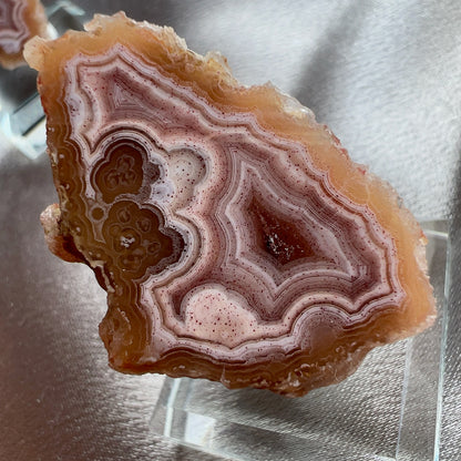 拉古納瑪瑙產自墨西哥。它於20世紀40年代末被發現，來自大約3800萬年前的堅硬宿主岩石。  拉古納瑪瑙通常很小，但較大的標本也經常被發現。它最受歡迎的特點是其對比明亮和深色。拉古納瑪瑙是一種瑪瑙礦物的變種，以緊密的斑紋和鮮豔的顏色而聞名。瑪瑙是一種玉髓類型，通常略帶半透明，各種顏色和質地。它在莫氏硬度標準上的硬度約為7。  拉古娜瑪瑙最令人期待而吸引和感到刺激的是一顆瑪瑙在他未被切割之前，你永遠不知道他裏面是什麼顏色、什麼紋路。所以擁有一顆完整紋路的拉古納瑪瑙真是可遇不可求的！  只是看到都能感覺到幸福哦😍
